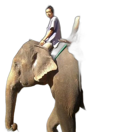 animal, creature, staff, 3d render, photorealistic, concept art, cartoon, person transparent PNG cut-out