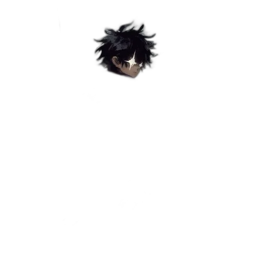 hair, animal, creature, hat transparent PNG cut-out