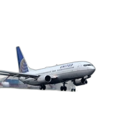 animal, staff, photorealistic, 3d render, concept art, united, airlines, airplane transparent PNG cut-out