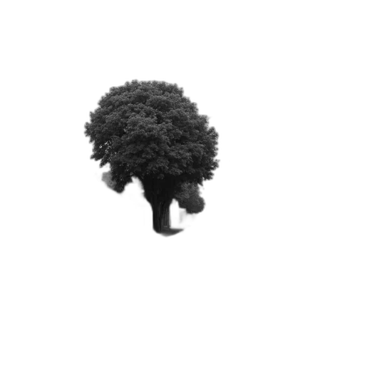 tree, hair, crown, hat, photorealistic, 3d render, pixel art, concept art transparent PNG cut-out