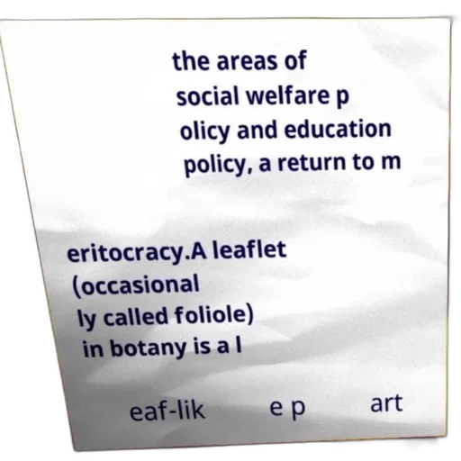 leaflet, botany, eaf-lik, art, areas, social, welfare, olicy transparent PNG cut-out