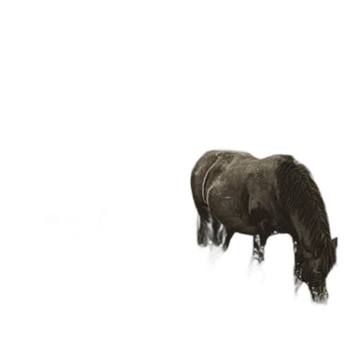 animal, creature, hair, weapon, concept art, photorealistic, 3d render, pixel art transparent PNG cut-out