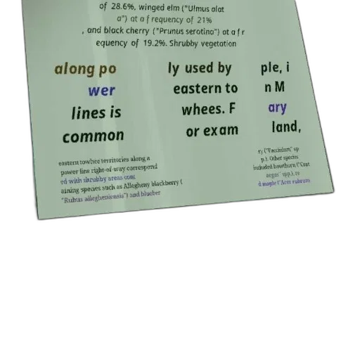 text-heavy, image, white, background, discussing, use, shrubbery, along transparent PNG cut-out