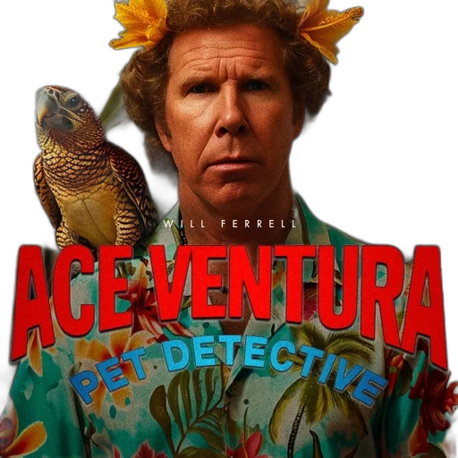 ace, ventura, pet, detective, picture, protagonist, man, bright transparent PNG cut-out