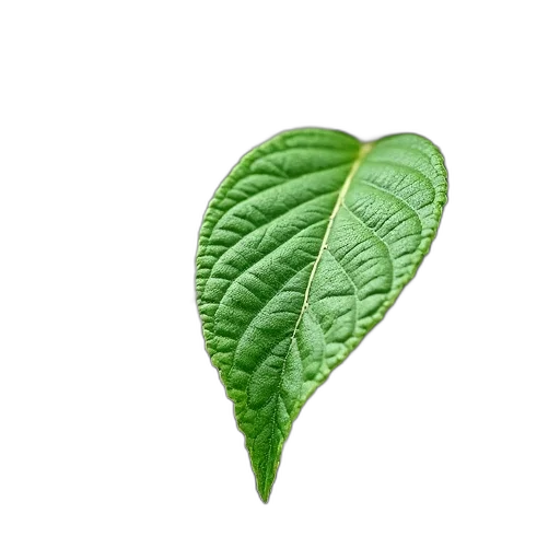 food, tree, staff, flower, photorealistic, 3d render, green, leaf transparent PNG cut-out
