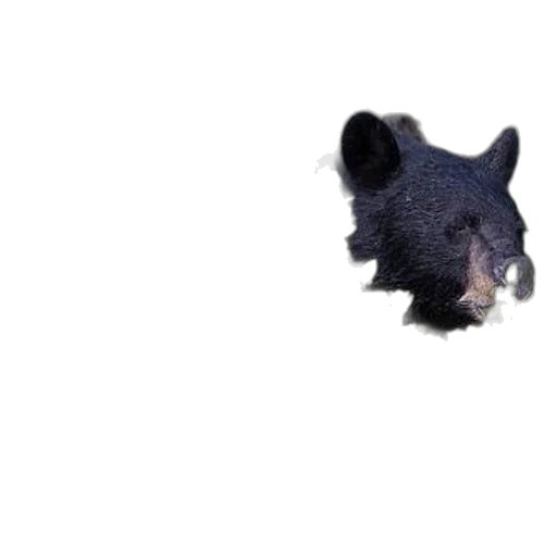 animal, creature, dragon, face, 3d render, photorealistic, concept art, outer space transparent PNG cut-out