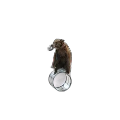 jewelry, animal, creature, hair, 3d render, concept art, photorealistic, bear transparent PNG cut-out