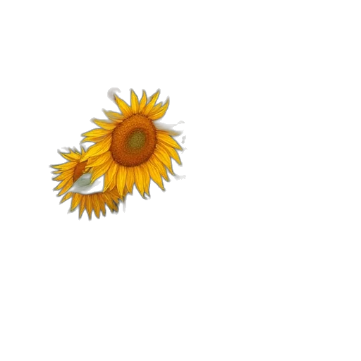flower, crown, jewelry, weapon transparent PNG cut-out