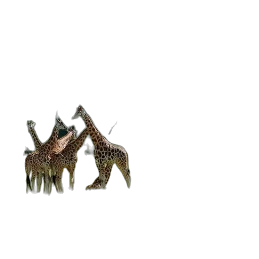 animal, creature, dragon, robot, 3d render, concept art, pixel art, photorealistic transparent PNG cut-out