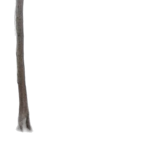 staff, sword, weapon, tree transparent PNG cut-out