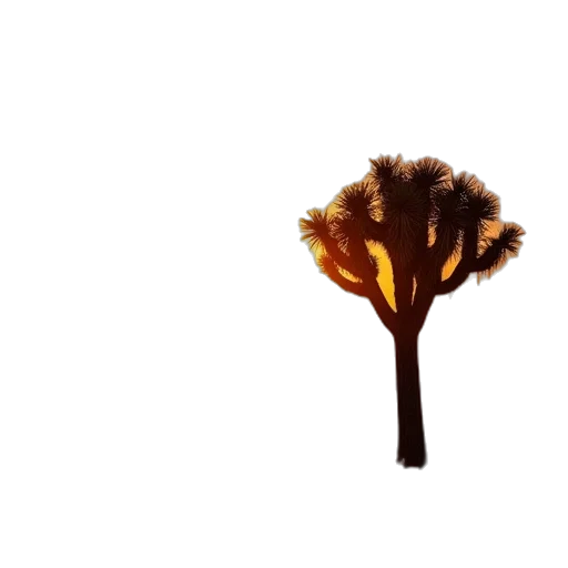 tree, hair, crown, flower transparent PNG cut-out