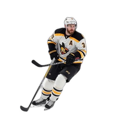 animal, staff, 3d render, concept art, photorealistic, henrik, karlsson, skating transparent PNG cut-out