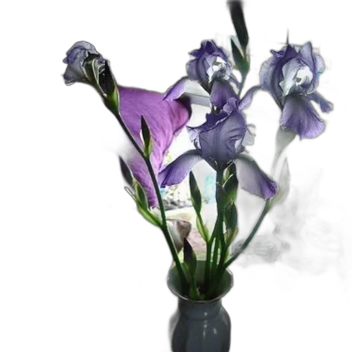 flower, crown, staff, bottle, 3d render, photorealistic, concept art, oil painting transparent PNG cut-out