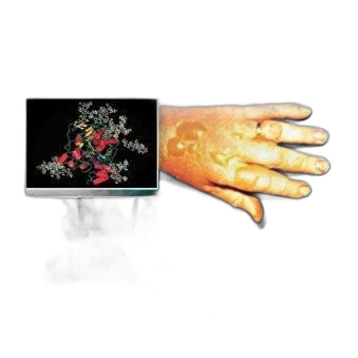 jewelry, crown, weapon, flower, concept art, fire, cover, book transparent PNG cut-out