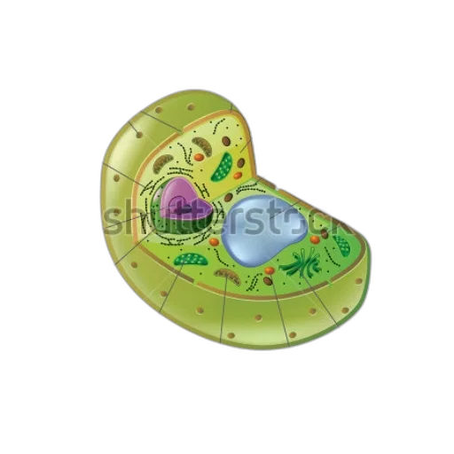 shoes, jewelry, hat, concept art, 3d render, outer space, detailed, diagram transparent PNG cut-out