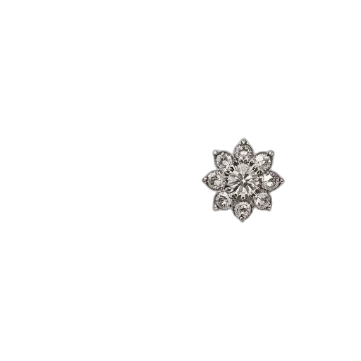 jewelry, crown, flower, staff transparent PNG cut-out