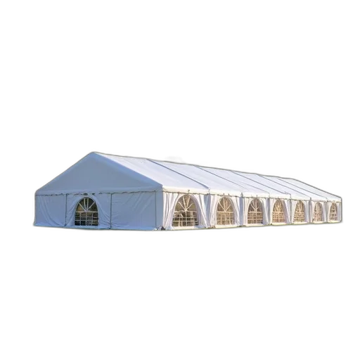 building, 3d render, large, inflatable, tents, sale, film transparent PNG cut-out