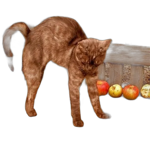 food, animal, furniture, photorealistic, concept art, 3d render, oil painting, brown transparent PNG cut-out