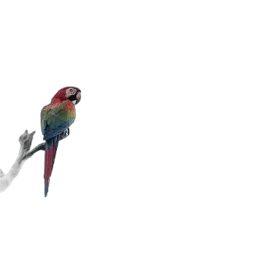 animal, staff, creature, weapon, concept art, 3d render, pixel art, watercolor transparent PNG cut-out