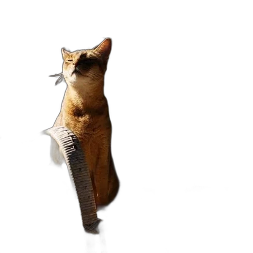 staff, umbrella, animal, weapon, 3d render, photorealistic, concept art, fire transparent PNG cut-out