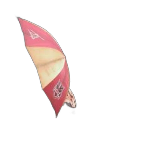 umbrella, staff, shoes, dragon, 3d render, photorealistic, concept art, vibrant transparent PNG cut-out