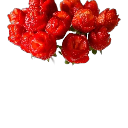 food, crown, flower, face, photorealistic, 3d render, red, vase transparent PNG cut-out