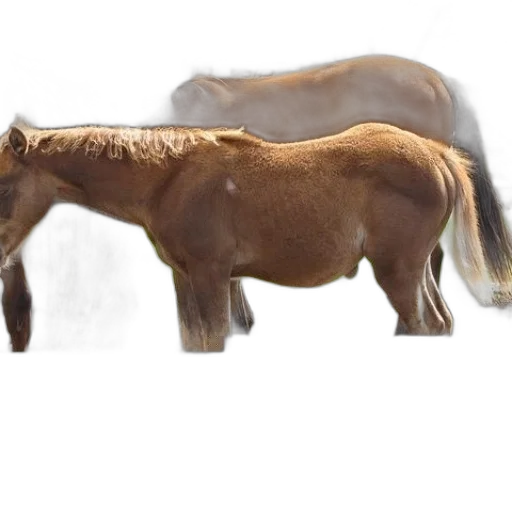 animal, creature, weapon, hair, photorealistic, concept art, 3d render, fantasy art transparent PNG cut-out