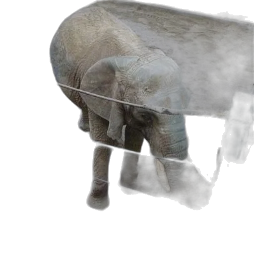animal, creature, weapon, mask, 3d render, concept art, photorealistic, elephant transparent PNG cut-out