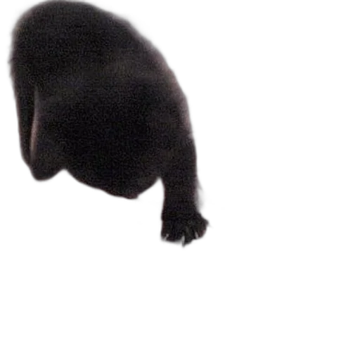 animal, creature, staff, hat, photorealistic, concept art, 3d render, black transparent PNG cut-out