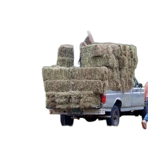 car, animal, food, weapon, 3d render, three, men, working transparent PNG cut-out