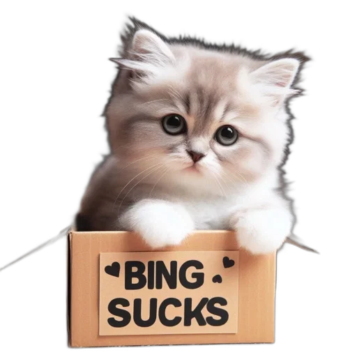 animal, inside, home, white, kitten, sits, atop, labeled transparent PNG cut-out