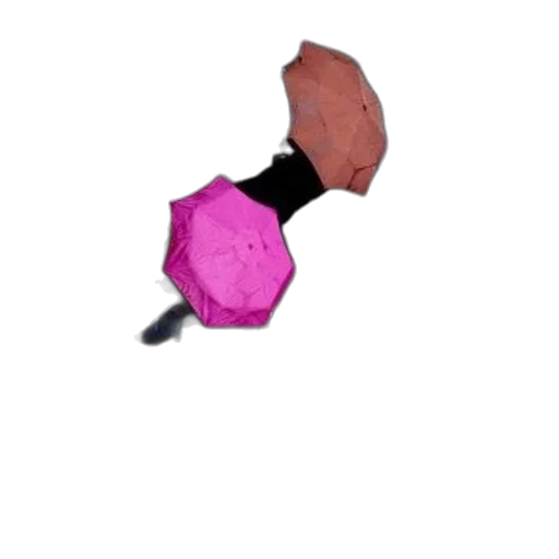 umbrella, flower, jewelry, hat, 3d render, concept art, pixel art, photorealistic transparent PNG cut-out