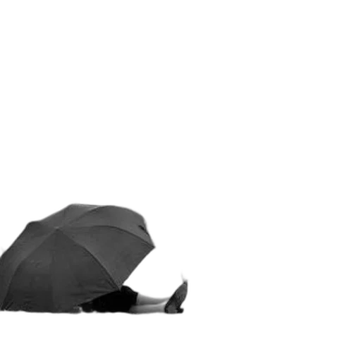 umbrella, hat, jacket, shoes, 3d render, concept art, photorealistic, rain transparent PNG cut-out