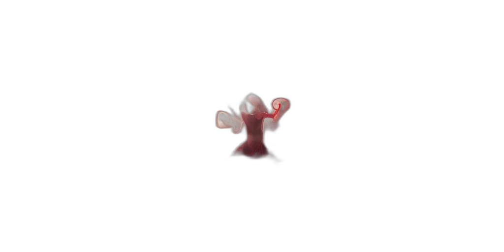creature, crown, flower, animal transparent PNG cut-out