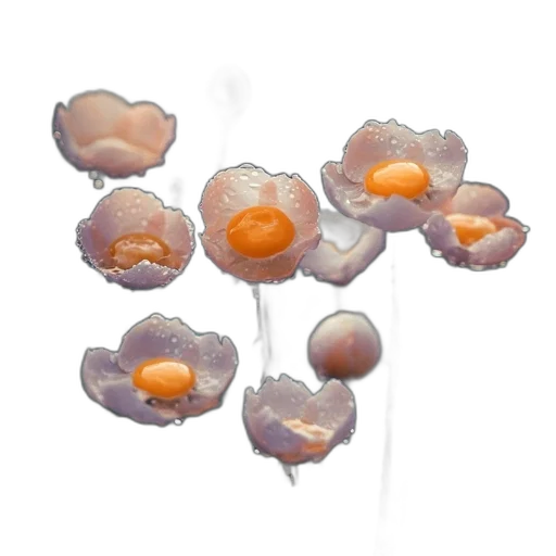 flower, crown, jewelry, umbrella, 3d render, photorealistic, concept art, oil painting transparent PNG cut-out
