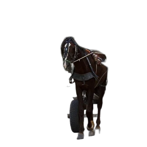 animal, staff, robot, furniture, 3d render, concept art, pixel art, photorealistic transparent PNG cut-out