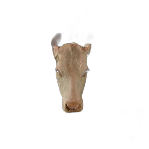 animal, creature, face, mask, photorealistic, 3d render, concept art, pixel art transparent PNG cut-out