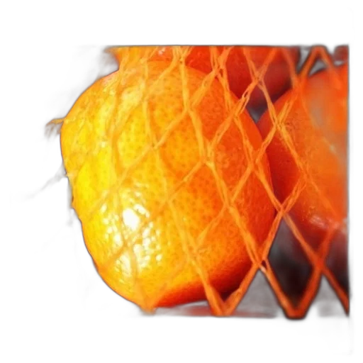 food, jacket, crown, umbrella, 3d render, photorealistic, close-up, orange transparent PNG cut-out