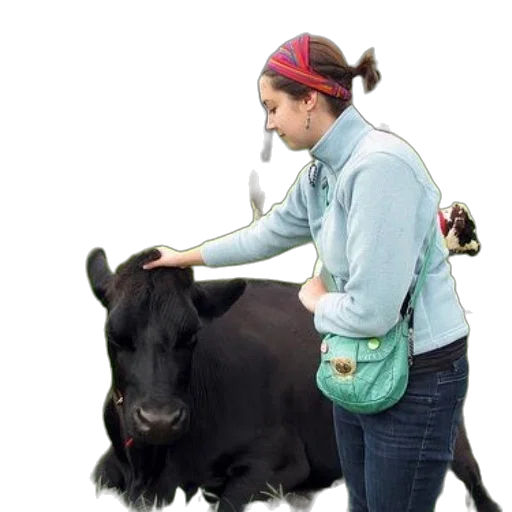 animal, staff, photorealistic, woman, blue, sweater, pets, black transparent PNG cut-out