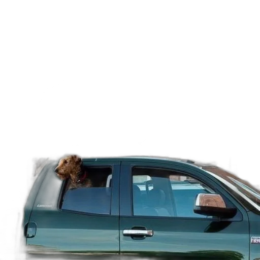 car, animal, staff, hair, photorealistic, 3d render, vaporwave, concept art transparent PNG cut-out