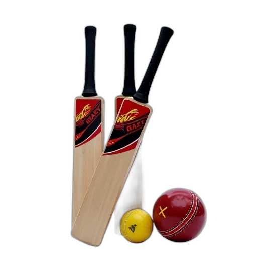 set, cricket, bats, balls, displayed, white, background, arranged transparent PNG cut-out