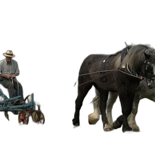 animal, concept art, 3d render, photorealistic, man, hat, drives, two transparent PNG cut-out