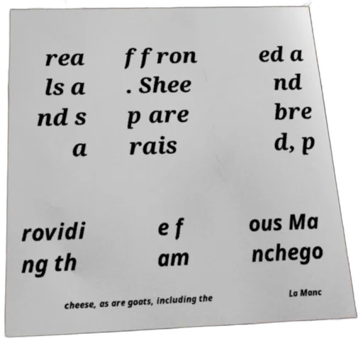 shoes, robot, face, text-based, image, white, background, featuring transparent PNG cut-out