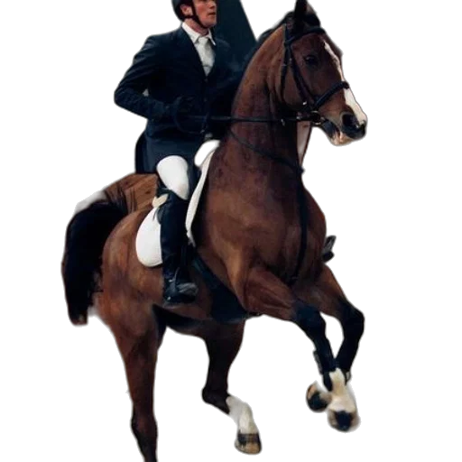staff, animal, jacket, photorealistic, concept art, oil painting, man, suit transparent PNG cut-out