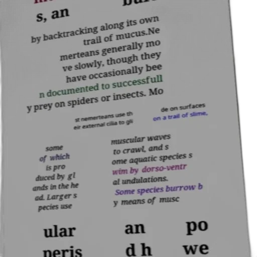 staff, robot, text-based, image, discussing, nemerteans, their, movement transparent PNG cut-out
