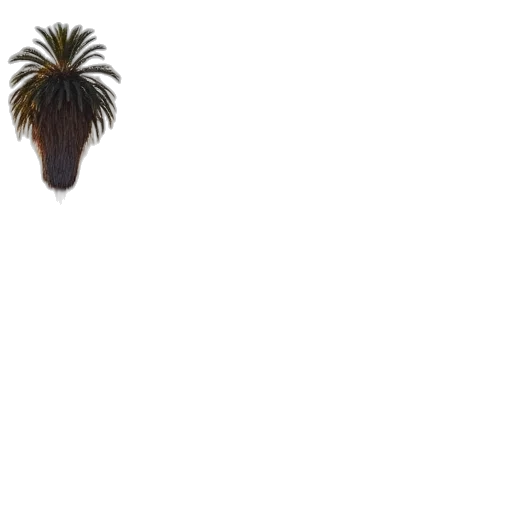 tree, hair, hat, animal, 3d render, photorealistic, concept art, pixel art transparent PNG cut-out
