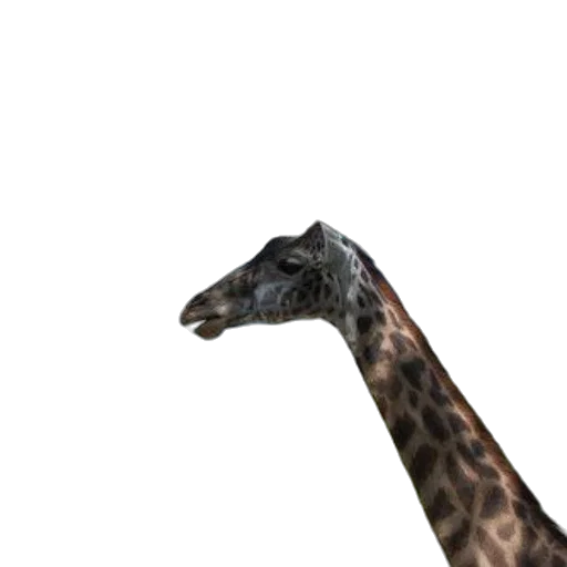 animal, creature, face, staff, 3d render, photorealistic, concept art, pixel art transparent PNG cut-out
