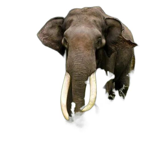 animal, staff, jewelry, creature, photorealistic, concept art, 3d render, majestic transparent PNG cut-out