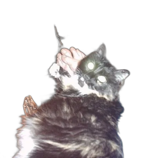 staff, animal, creature, weapon, photorealistic, vaporwave, concept art, watercolor transparent PNG cut-out