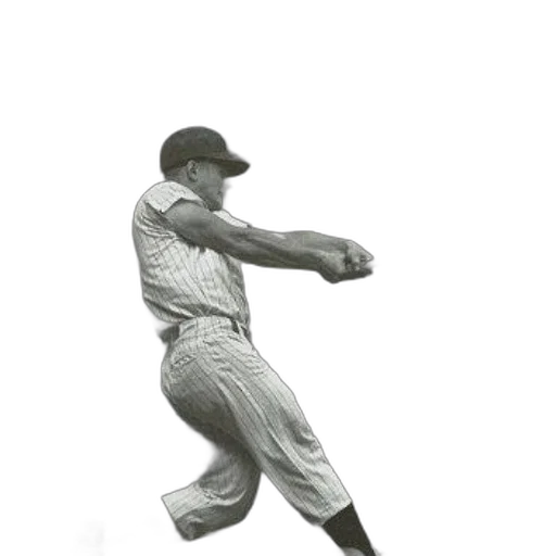 staff, animal, creature, photorealistic, black, white, photo, roger transparent PNG cut-out